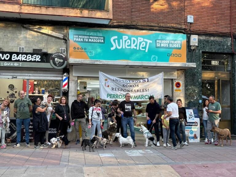 En tienda de animales