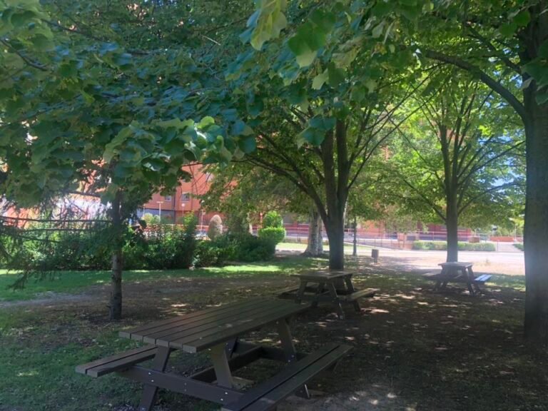 Zona de nuevas mesas y bancos